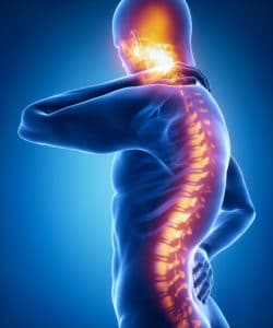 Auto Accidents Leading Cause of Spinal Cord Injury