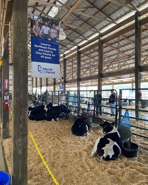 clay county fair 5