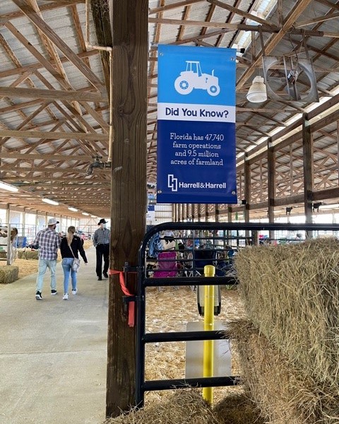 clay county fair 6