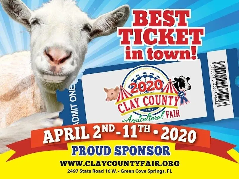 Goat standing beside a Clay County Agricultural Fair ticket.