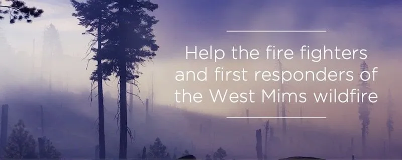 Silhouetted trees in fog with wildfire aid message.