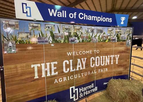 Wall of Champions at Clay County Agricultural Fair display.