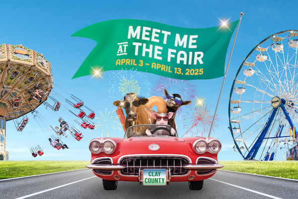 Child, pig, and cow drive a red convertible.